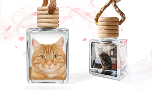 Ambientador de cristal con foto personalizada de tu gato