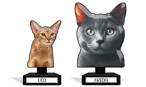 Decoración de mesa personalizada para un dueño de gato - con foto de tu gato y su nombre