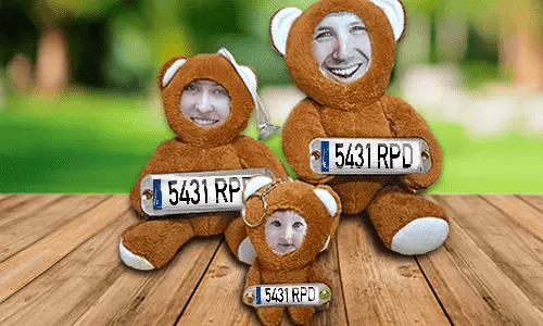 Osito de peluche con foto de coche