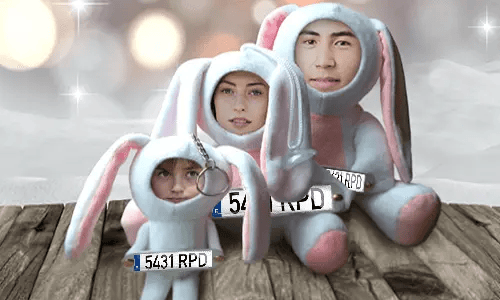Auto Foto Stuff Coniglietto Giocattolo