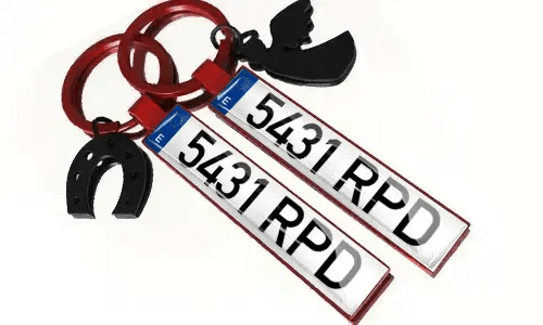 Llaveros metálicos con números de placa de matrícula y accesorios
