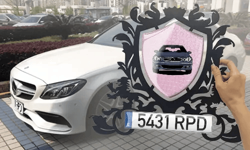 metallschild gestalten schwarz gepulvert mit Rosa Schlangenleder Hintergrund in der Hand personalisiertes metallschild